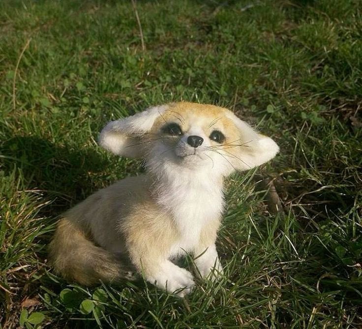 Deep Thoughts 💭 tweet media