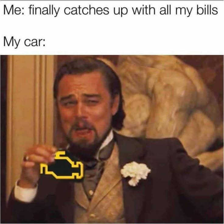 Heckin Good Dogs tweet media