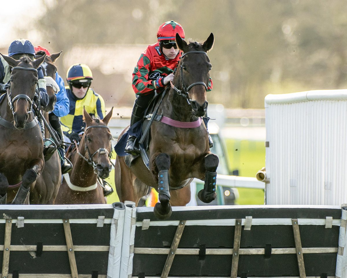 Fontwell Park tweet media