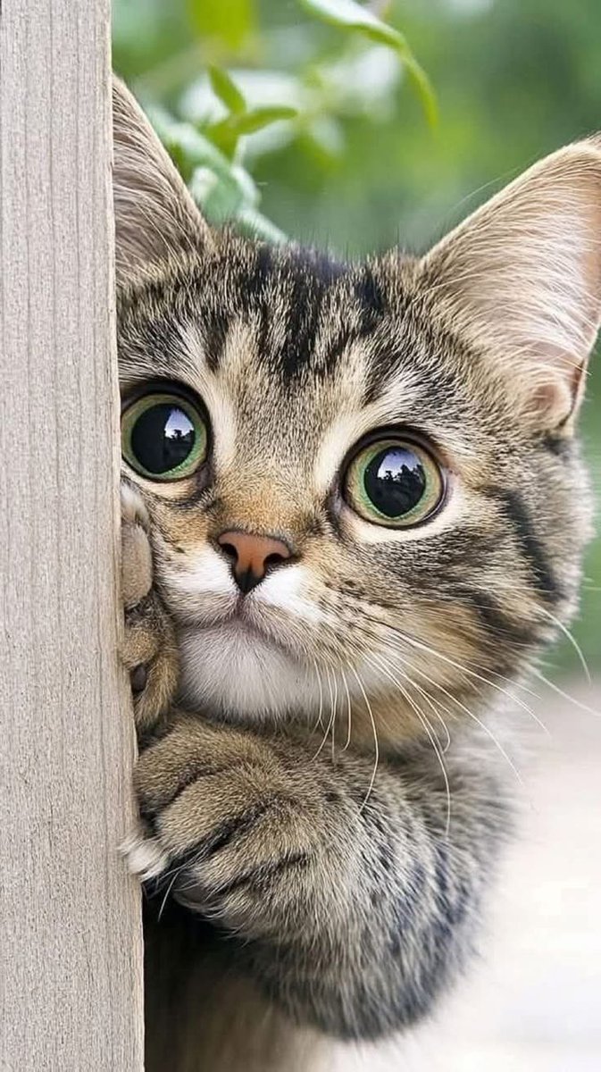 the nature interesting tweet media