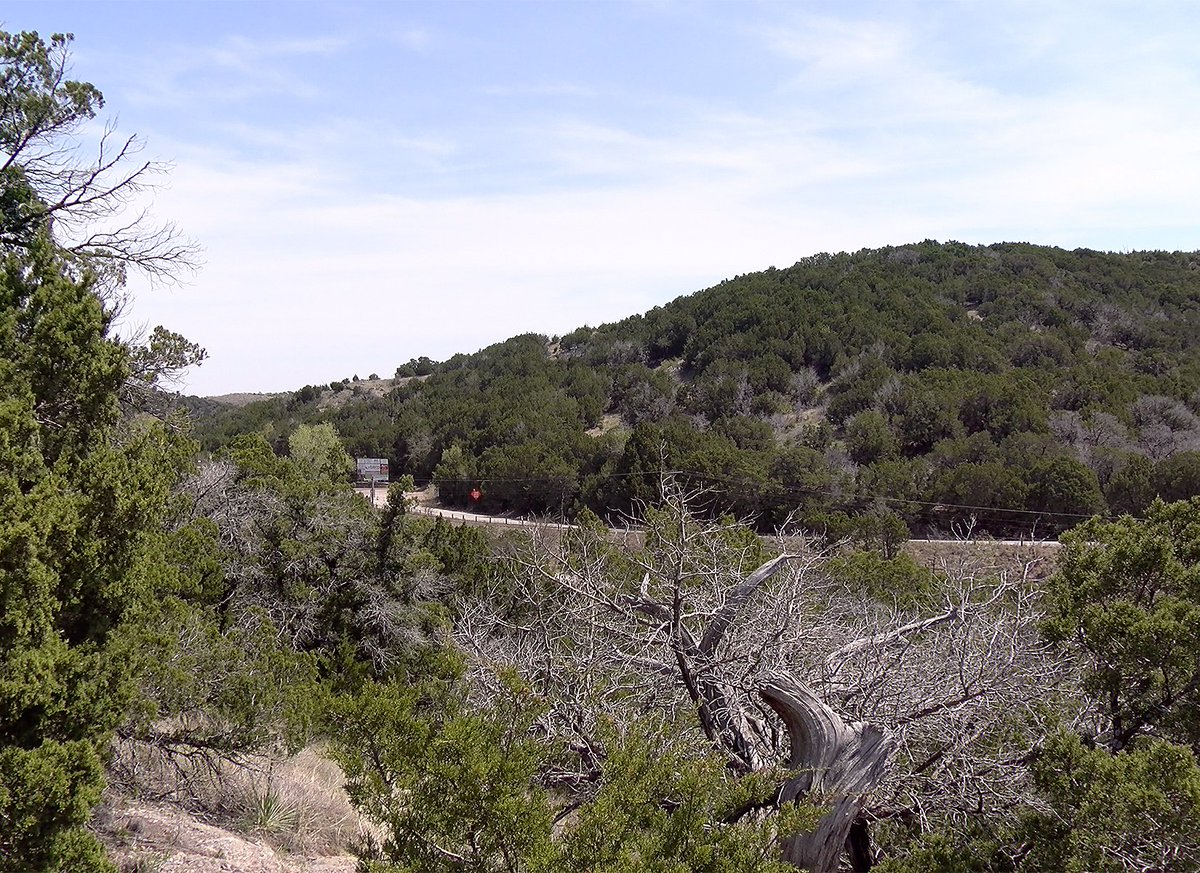 Esteem Education Co. tweet media