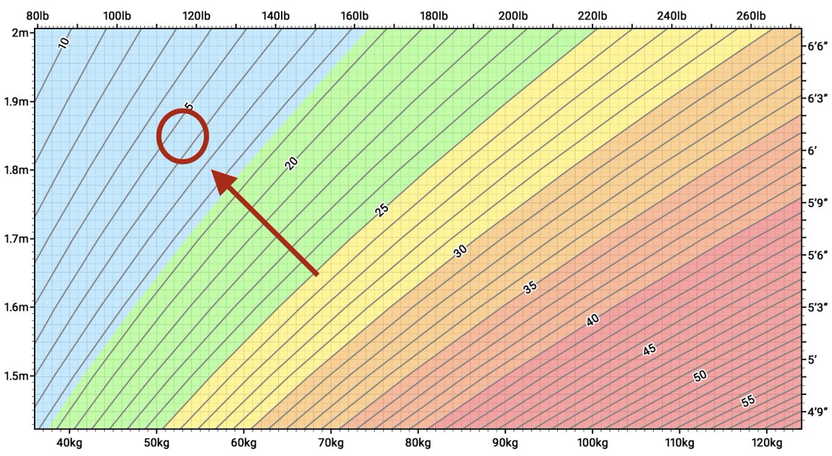 bakélite tweet media