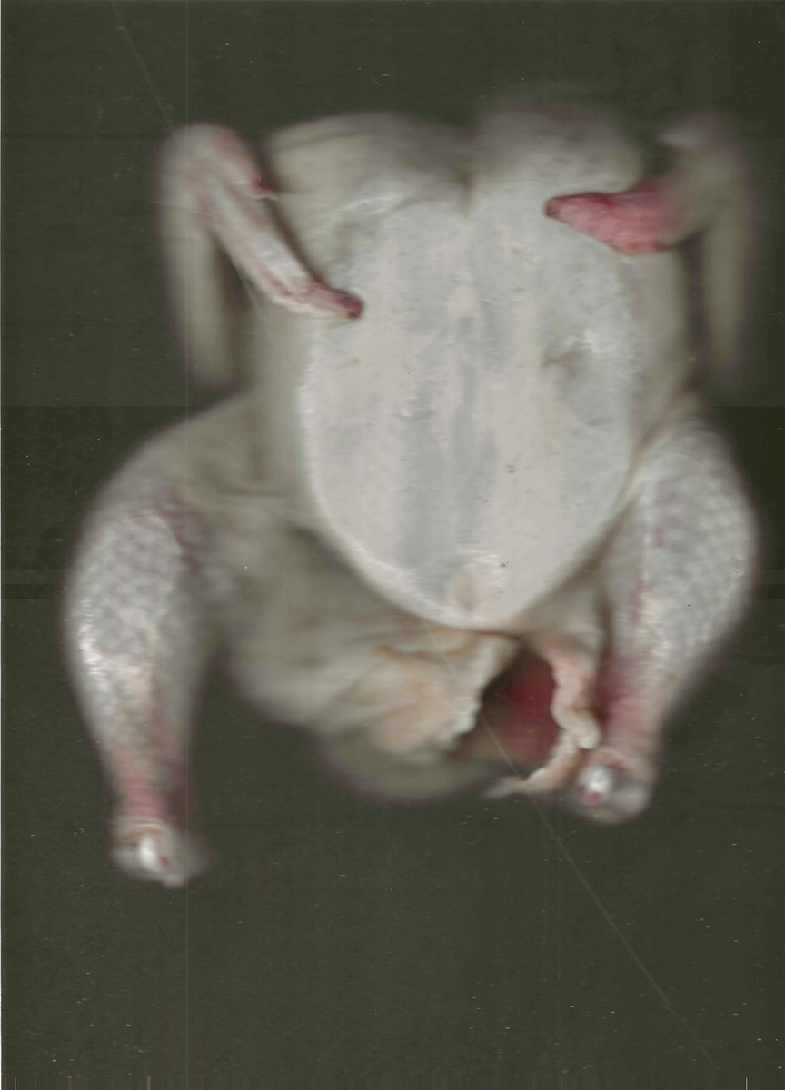 Photocopied chicken