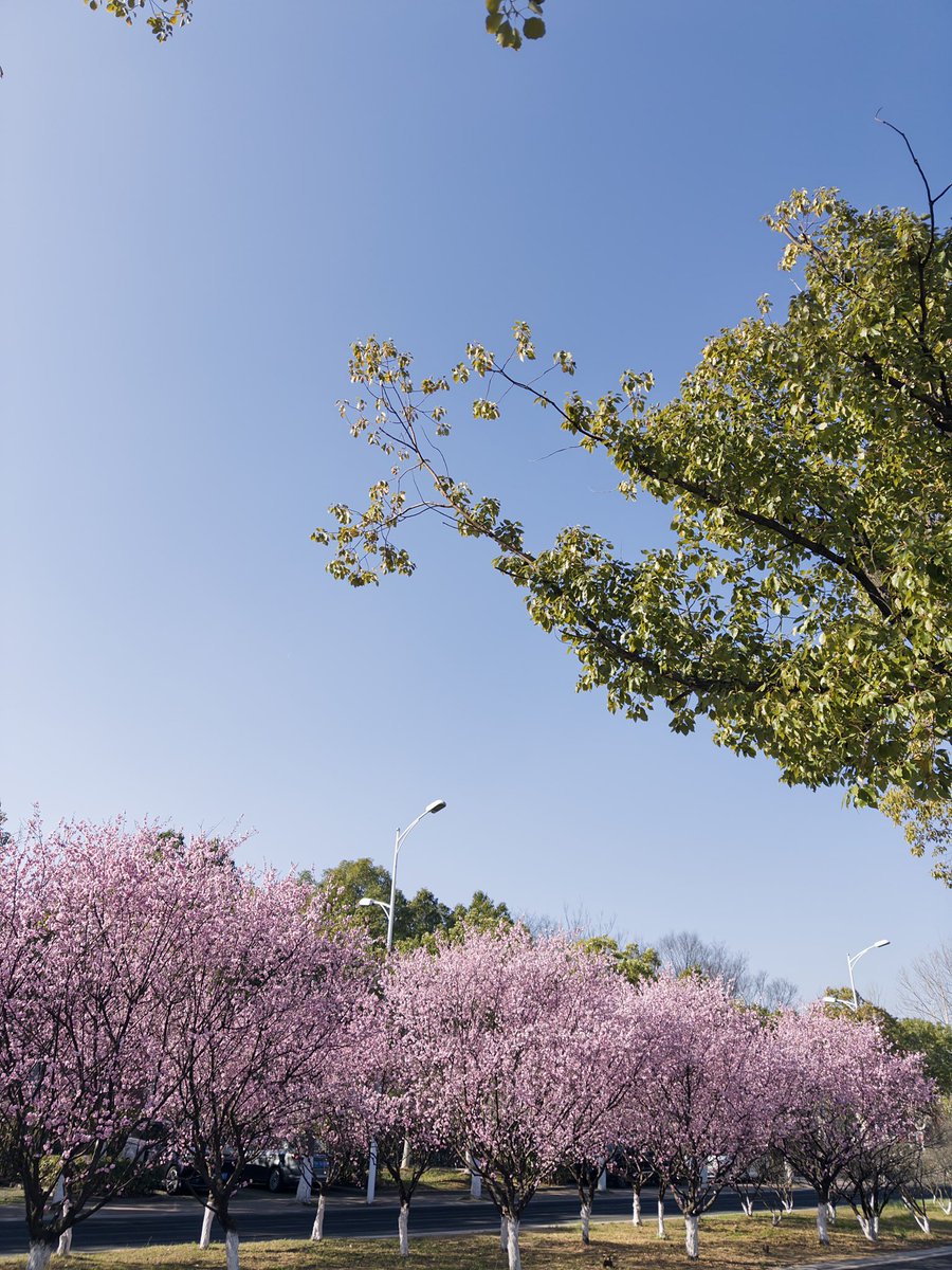 Maverick tweet media