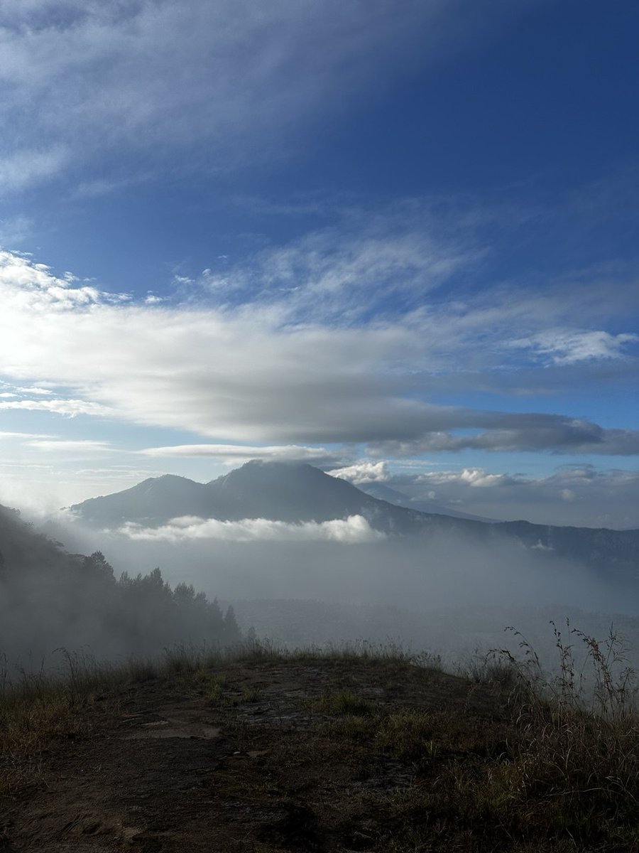 Splin Teron tweet media