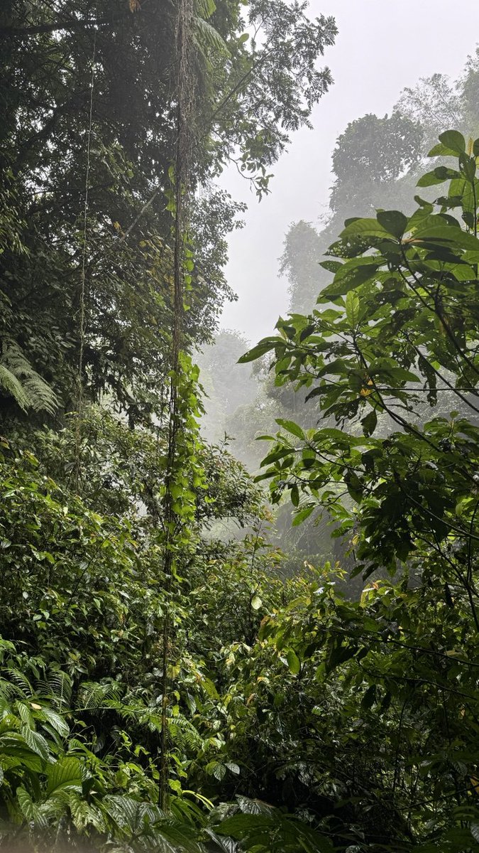 Splin Teron tweet media