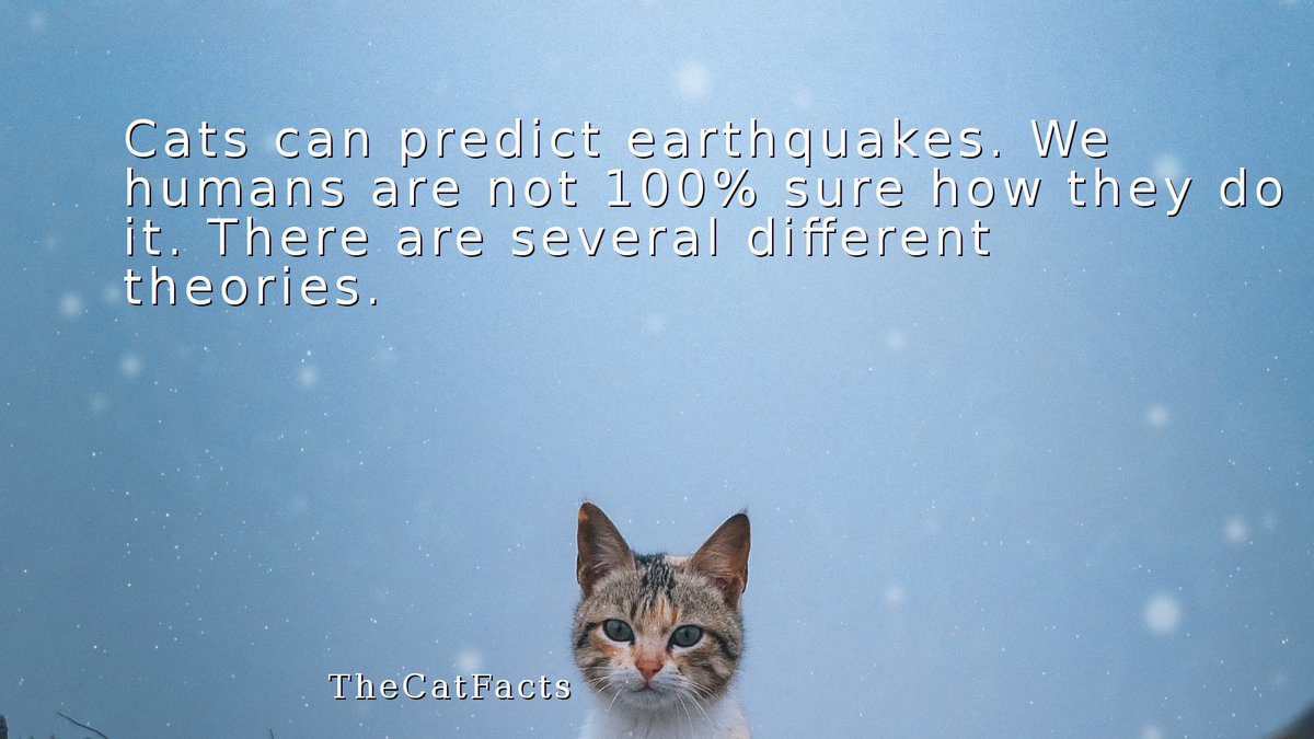 TheCatsFact's tweet photo. Cats may predict earthquakes! We're not entirely sure how, but theories abound. What do you think? 🐾 https://t.co/PfM2hEFAMc