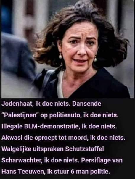 JaapCrelis tweet media