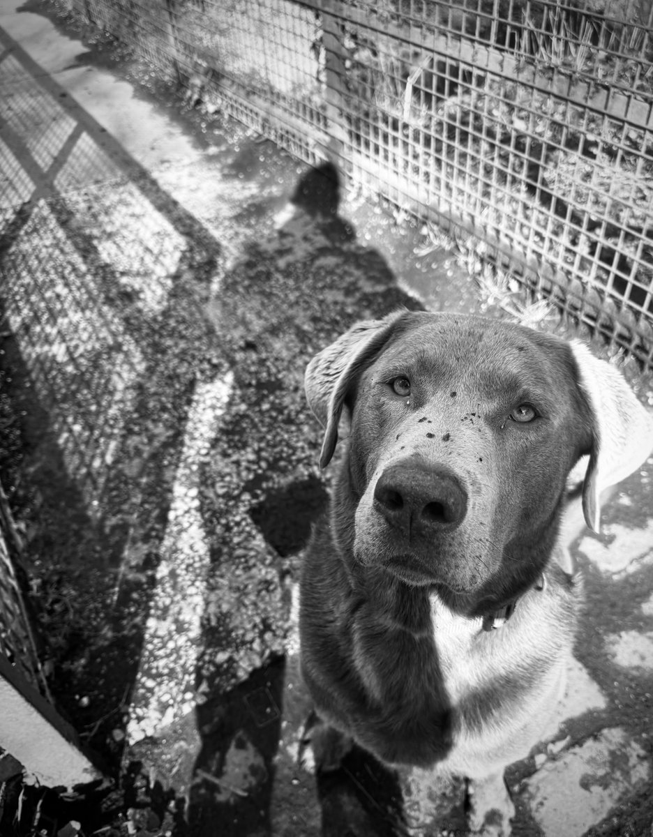 Saturday, pooch, waterpark 🐾