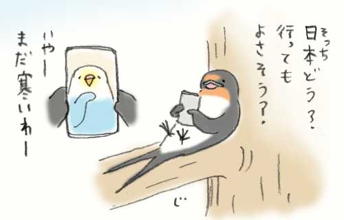 1日おきメモ（中原じゅん子） tweet media