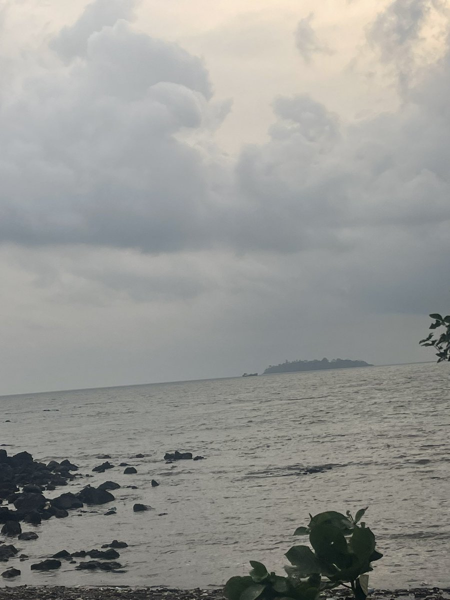 237 PeaceMaker💫 tweet media