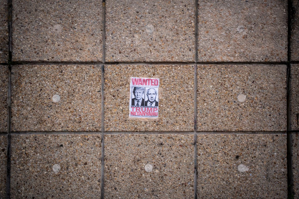 Olmo Calvo tweet media