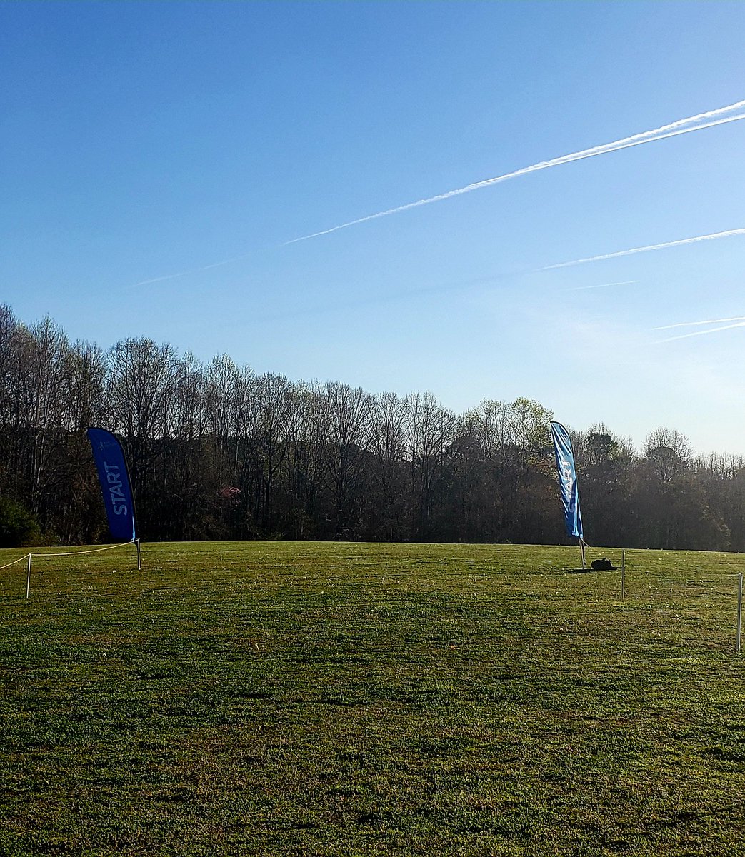 PDBlues33 tweet media