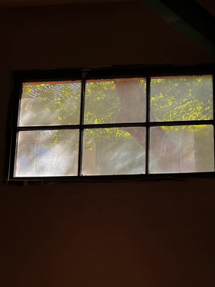 diego rissati tweet media