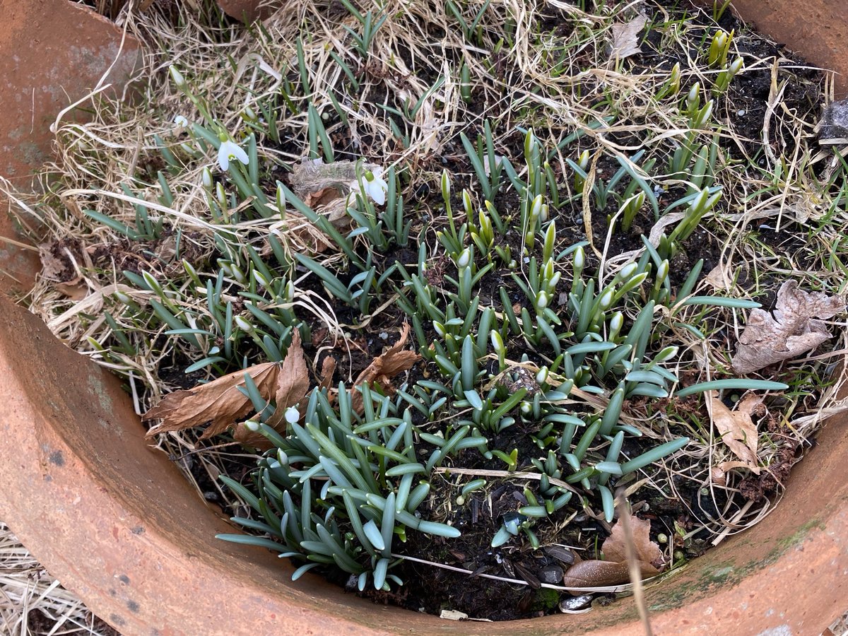 🌻🌻Liv$ERineHelge$en 🌻🌻 tweet media