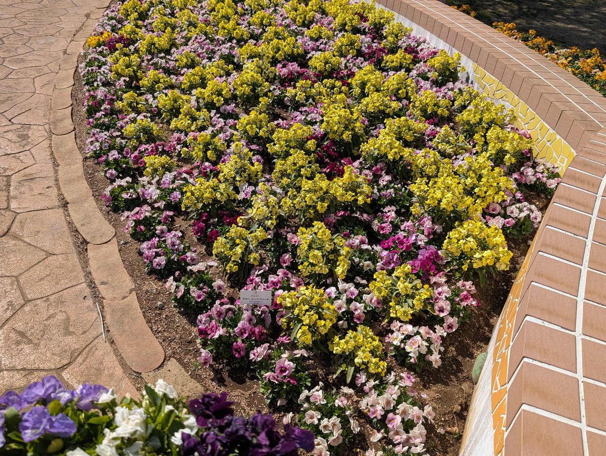 千葉県アンデルセン公園で撮影しました。