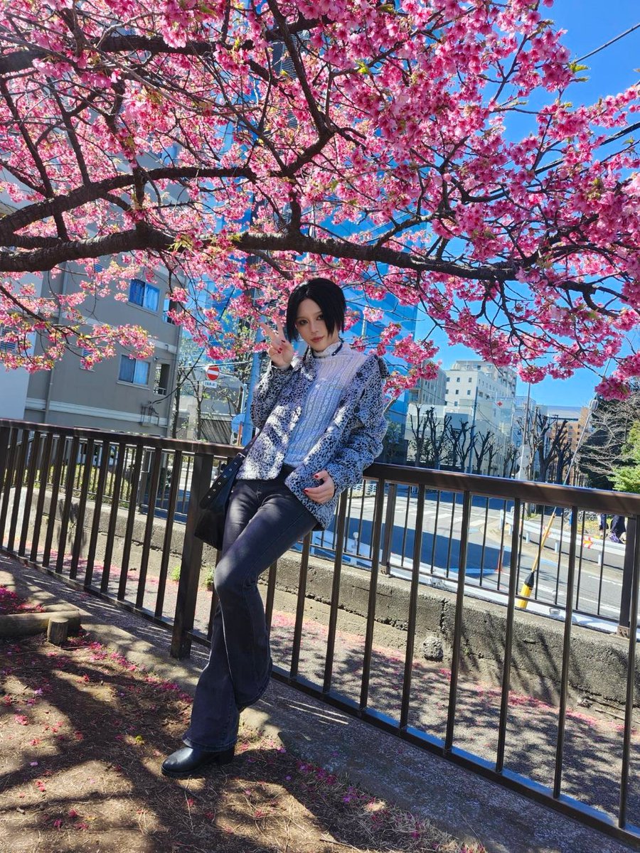 辰也Tatsuya tweet media