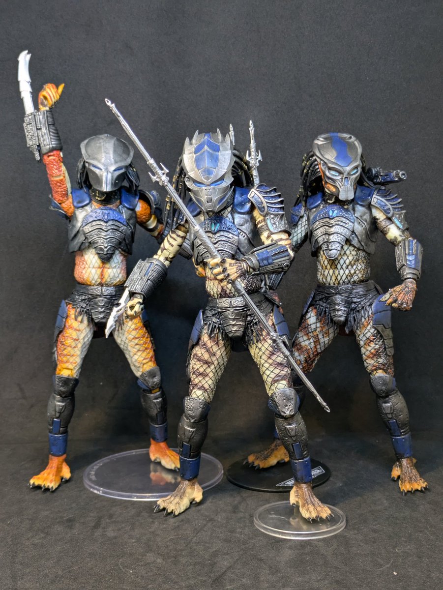 Dane Mercer tweet media