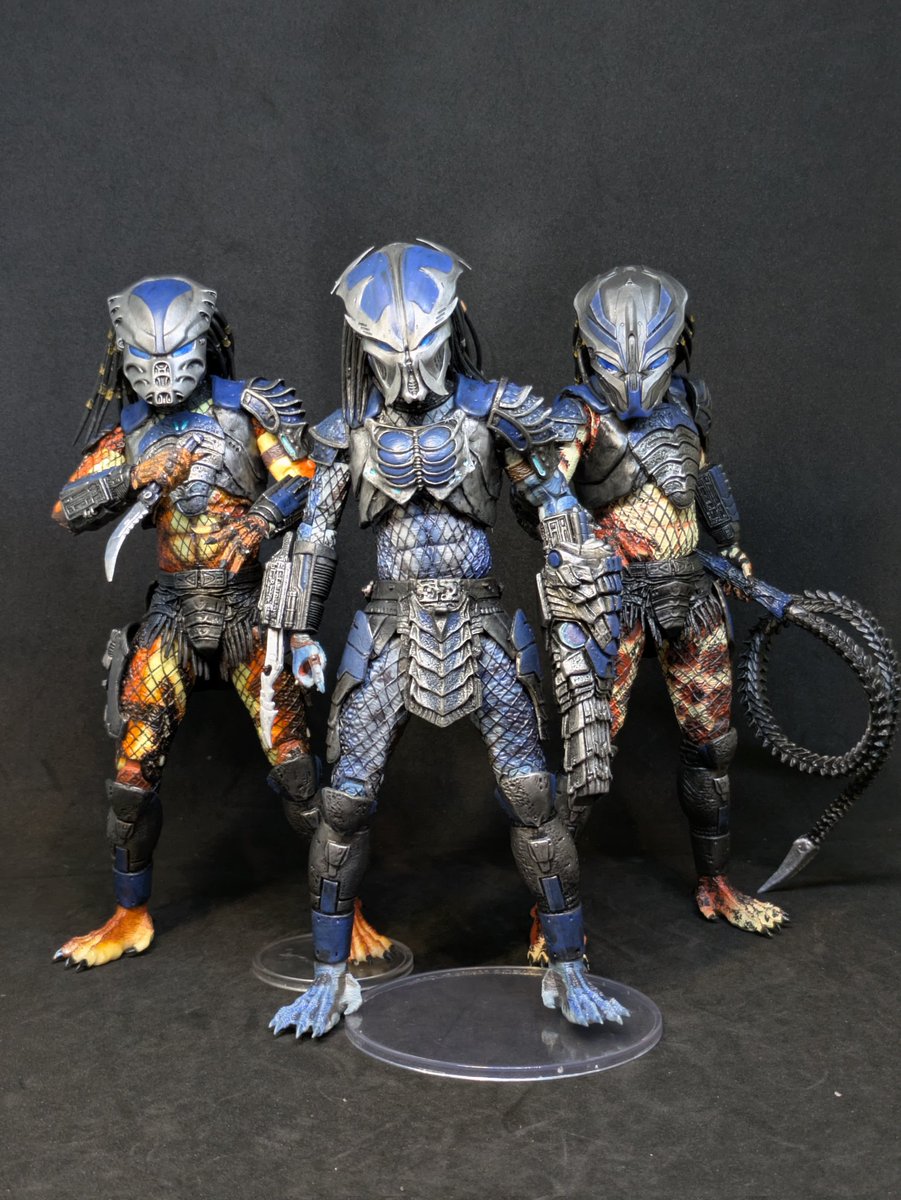 Dane Mercer tweet media