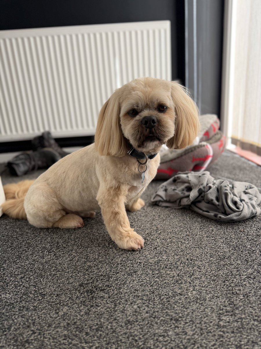 before and after shots