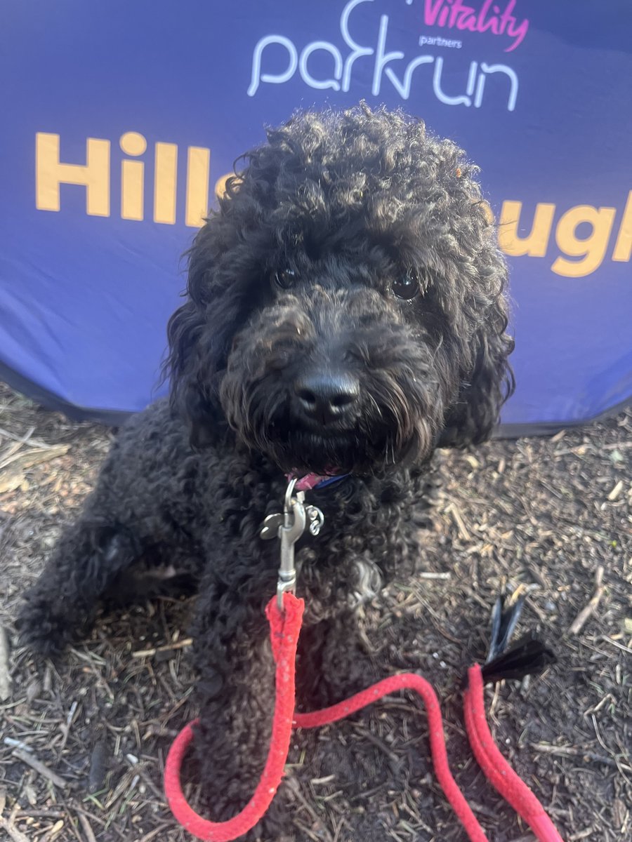 Colin Reid tweet media