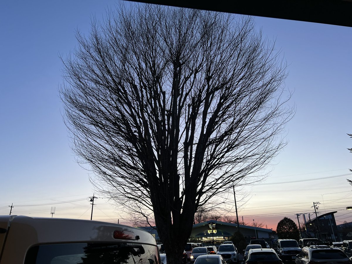 夕映えがキレイでしたね✨
今日という日に感謝です

皆様 おやすみなさい￼￼￼￼😌