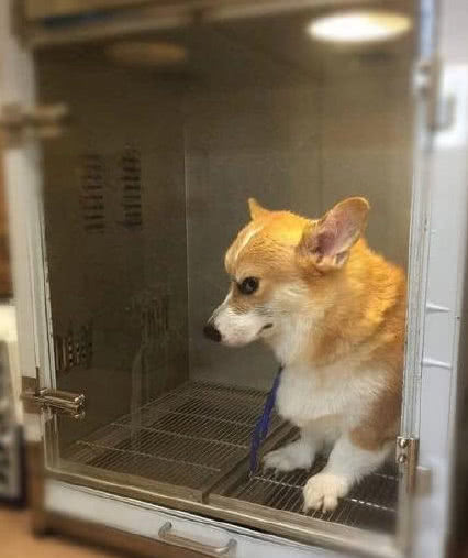 Oktay Tukeik AanIiz tweet media