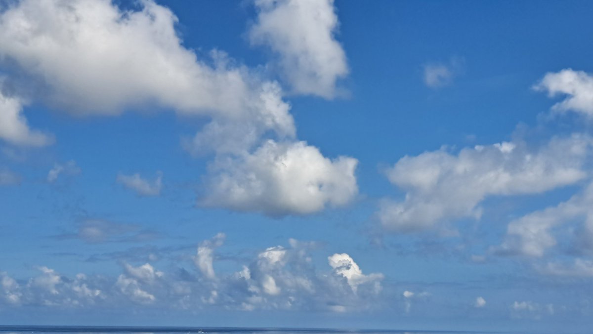 Franklin Isaac Ormaza tweet media