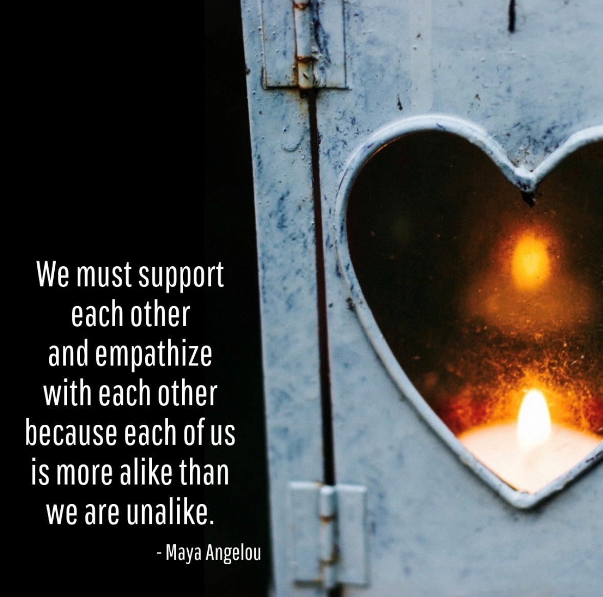 We Raise Foundation tweet media