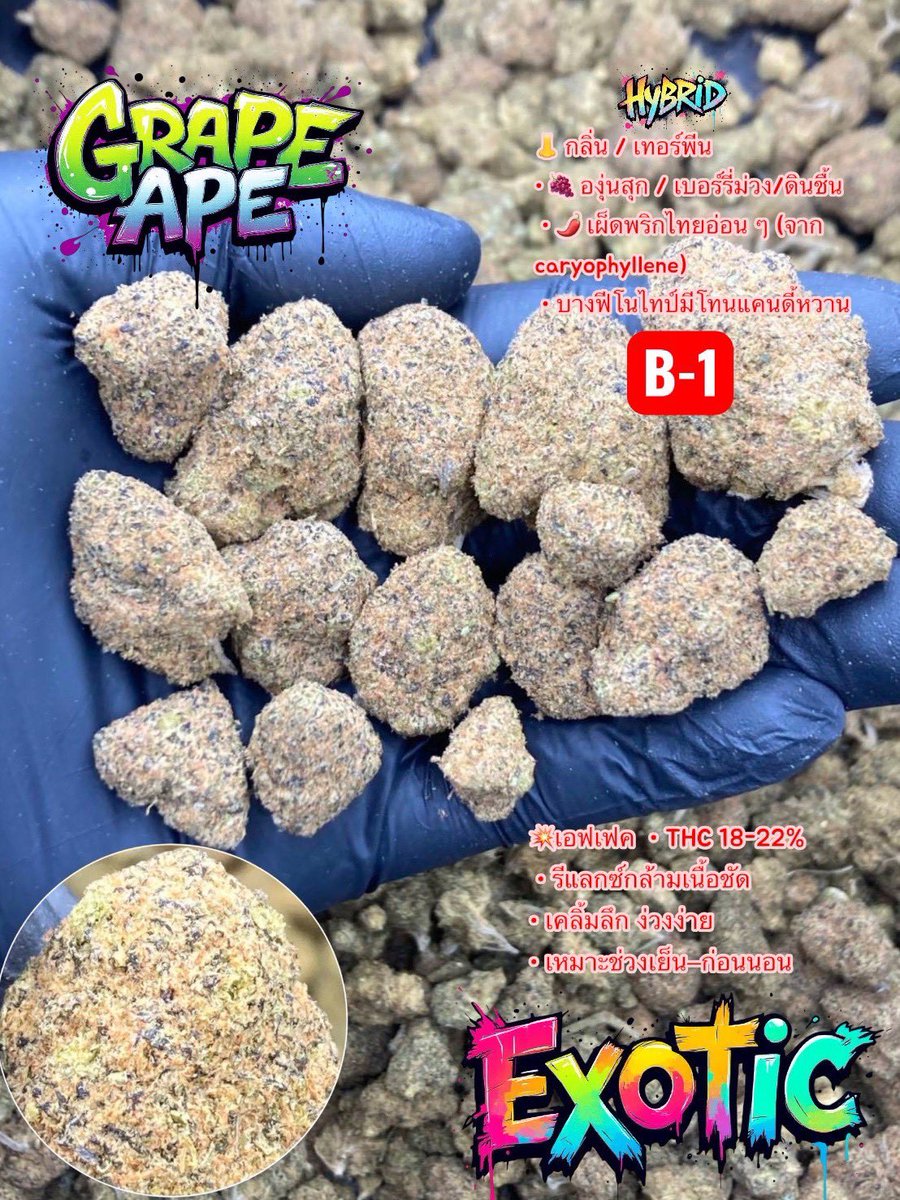JADEGARDEN4200's tweet photo. GRAPE APE 🍇💜✨
ดอกสวย ฟรอสต์ขาวแน่น ❄️

สนใจสั่งซื้อกดลิงก์👇🏻🚀
https://t.co/oSj3bBpccK

#กัญชา #กัญชาเชียงใหม่ #กัญชาเชียงราย #กัญชาลำปาง #กัญชาพิษณุโลก https://t.co/k1LhIjxkGx