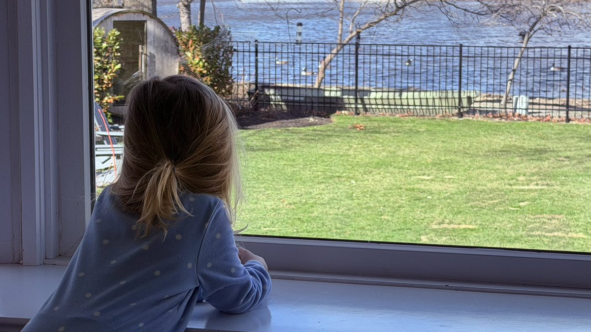 TheStable tweet media