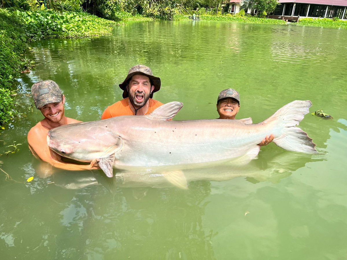 Ali Hamidi tweet media