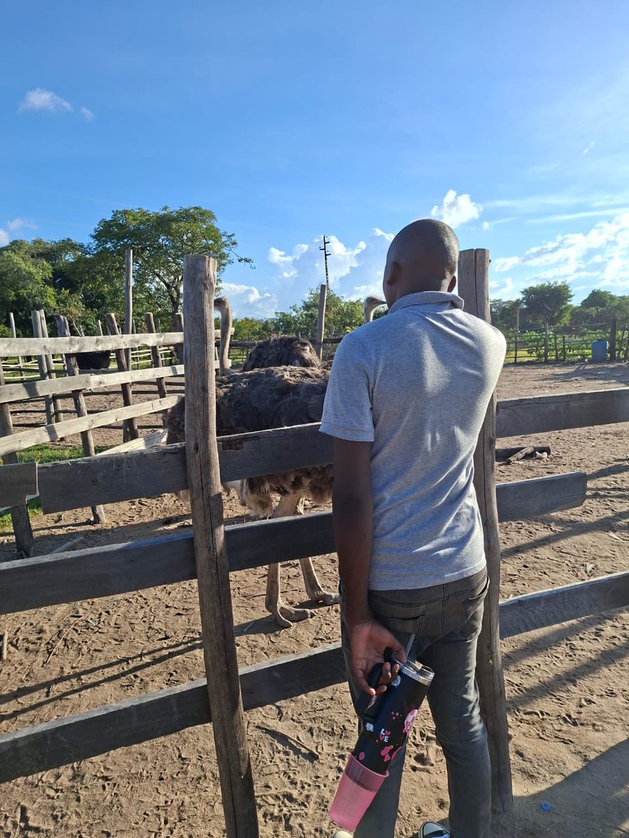 Sijabuliso_Ndebele tweet media
