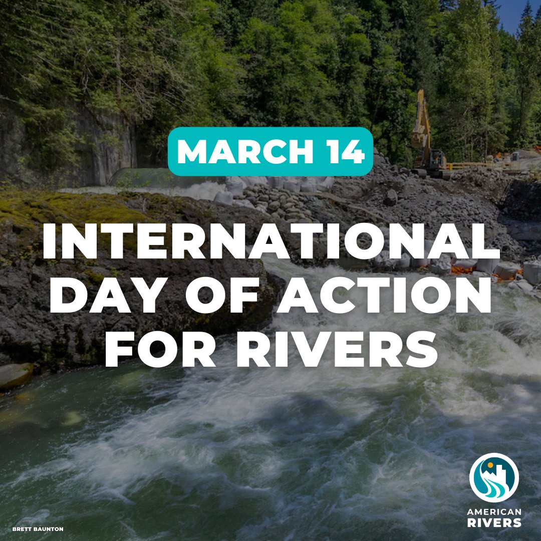 American Rivers tweet media