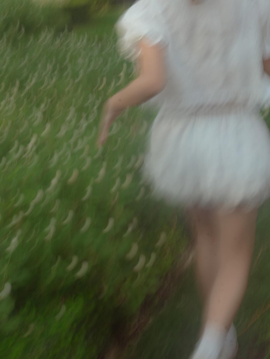 물고기𖥔 ݁ ˖👾 tweet media