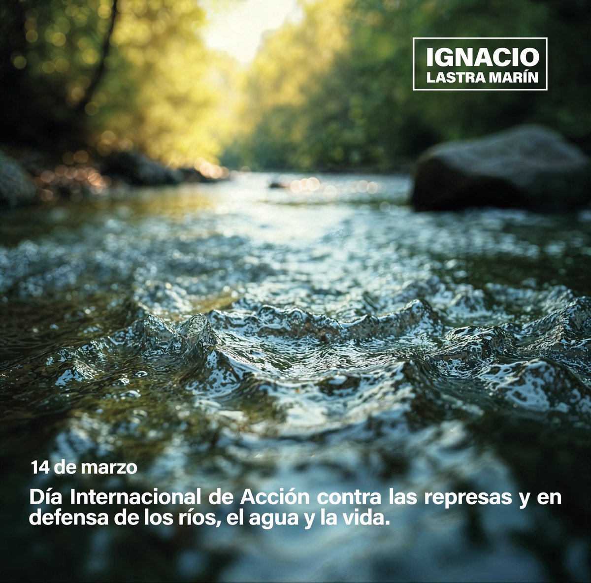 #Familia 🍃

🌊 El #Agua no es solo paisaje: es la base de la vida cotidiana, la cultura y la biodiversidad. Cuidarla implica garantizar salud, seguridad alimentaria y calidad de vida para las familias 🌊

#NachoLastra 🌱