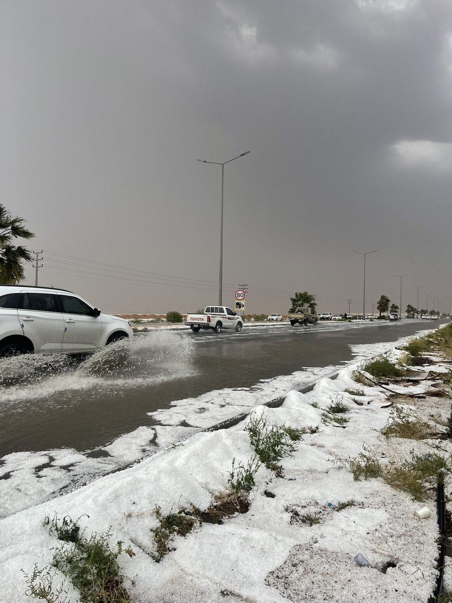 مخاوي الشيبان tweet media