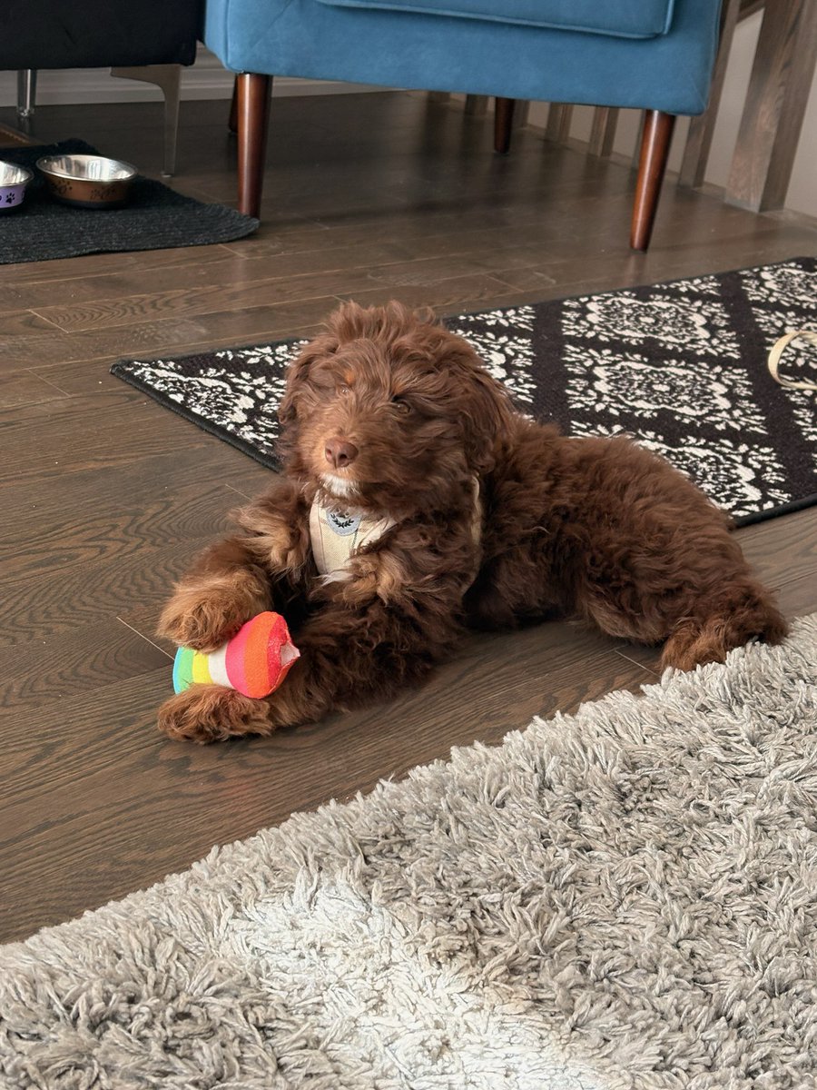 Mike Shoreman tweet media