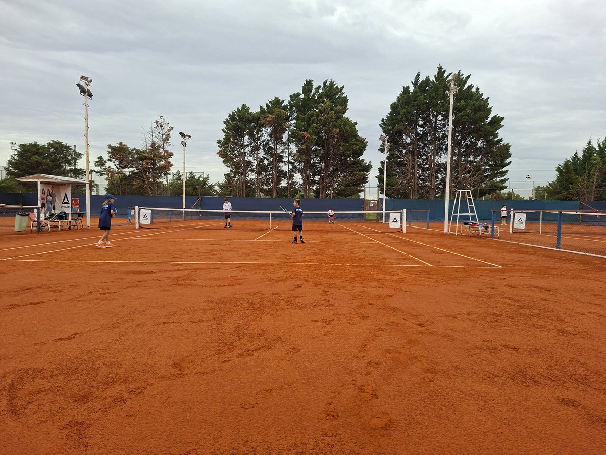 Andres Ariel tweet media