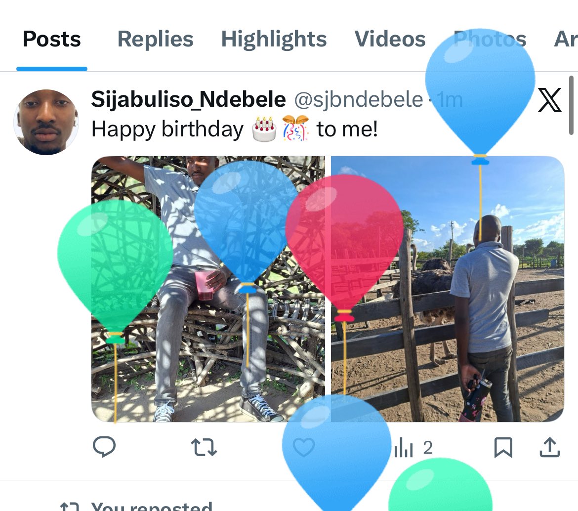Sijabuliso_Ndebele tweet media