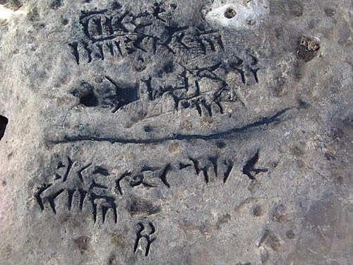 فلات ایران tweet media