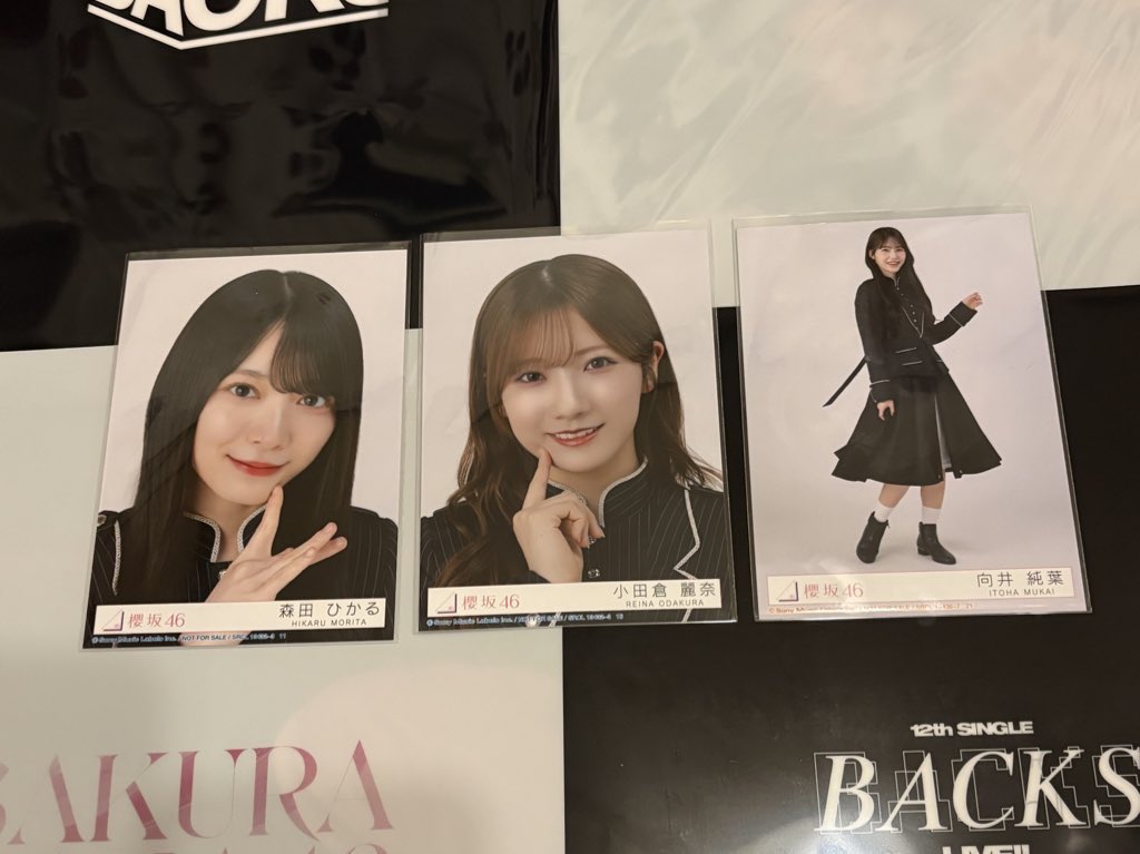 ミツ2号 tweet media