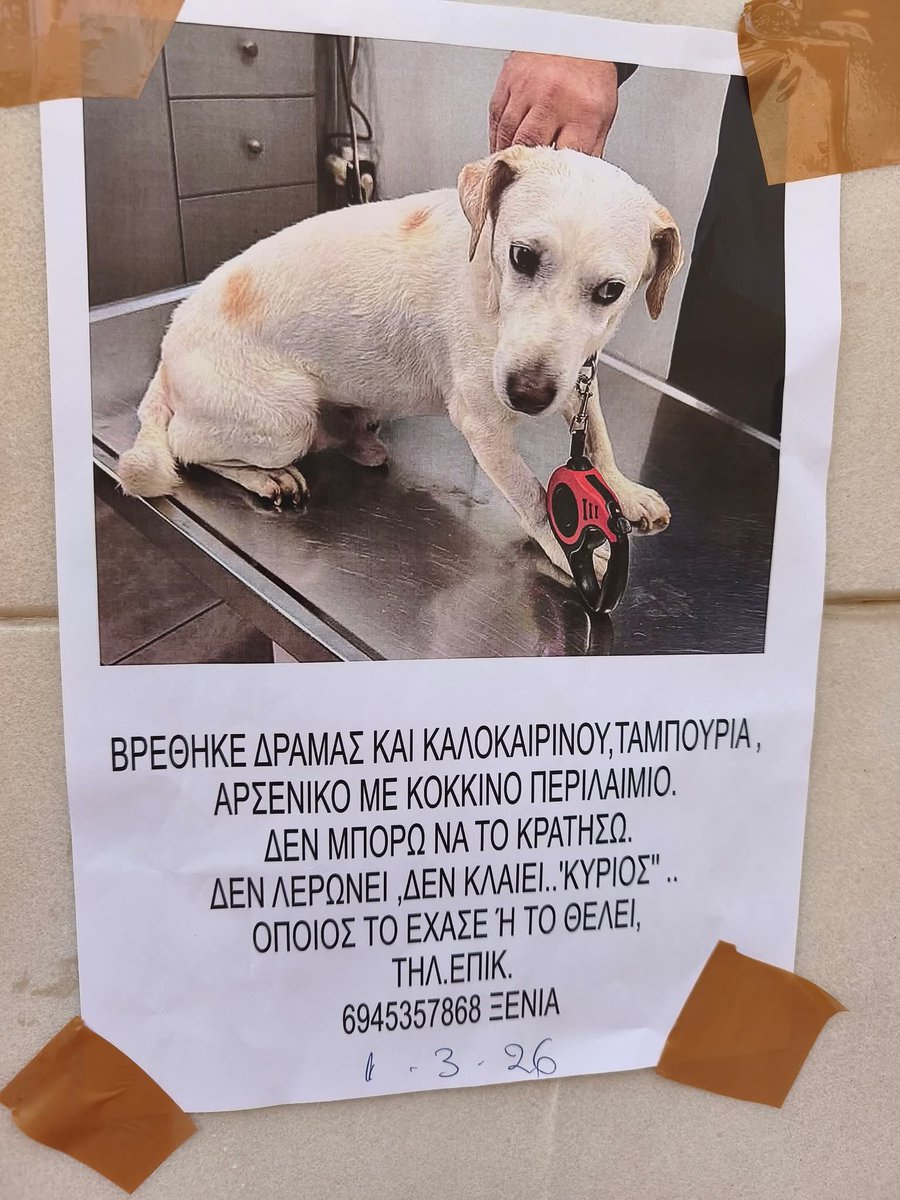 KatKatPt's tweet photo. 🆘️🆘️🆘️
Βρέθηκε αρσενικό σκυλακι στα Ταμπουρια,Δράμας κ Καλοκαιρινού 
Φοράει κόκκινο περιλαίμιο 
Το αναζητεί κανείς;
Rt 🙏 🙏 🙏 https://t.co/wxoJDr3ry8
