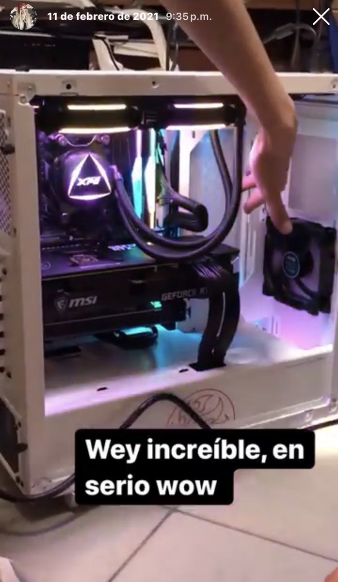 Avi Meillon 🐰🫧 tweet media