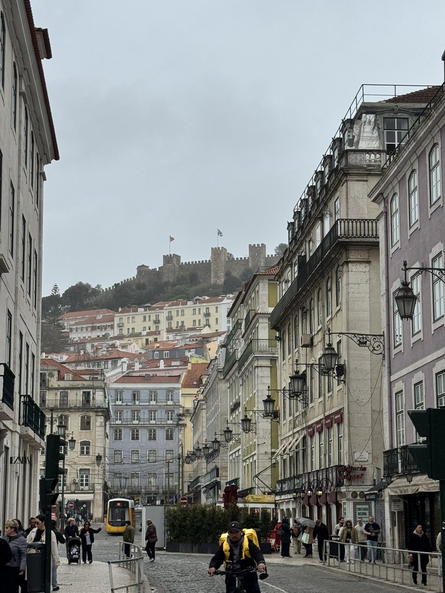 птичка tweet media