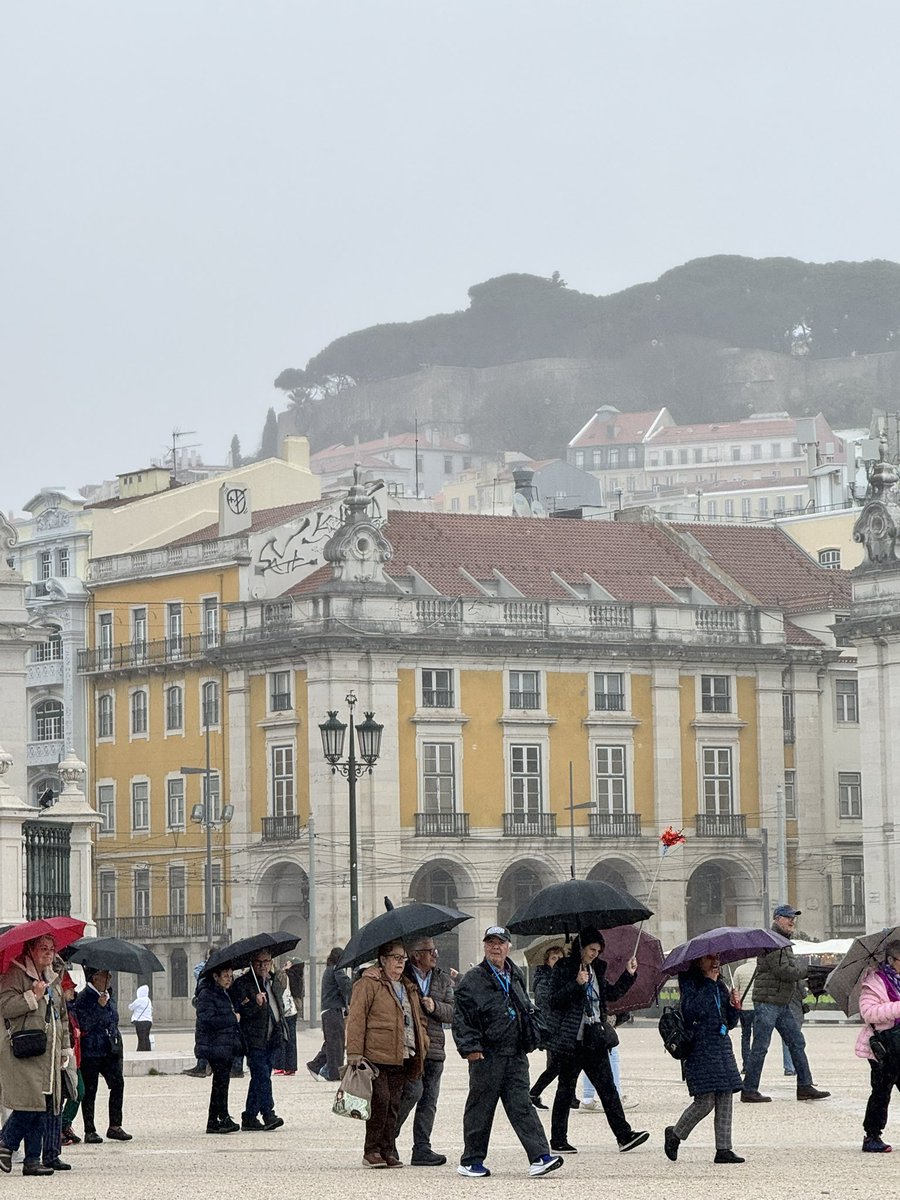 птичка tweet media