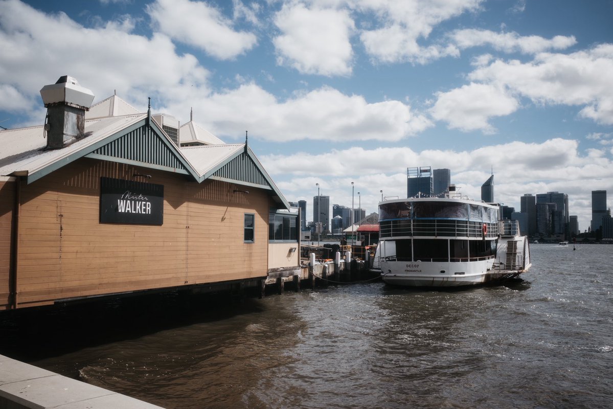 CJ Masciantonio tweet media