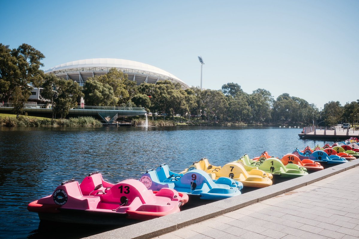 CJ Masciantonio tweet media