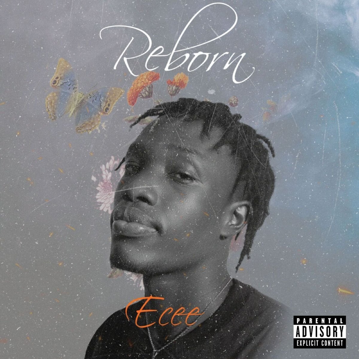 ♕━━✥A͓̽i͓̽m͓̽l͓̽e͓̽s͓̽s͓̽ ✥━━ ♛ tweet media