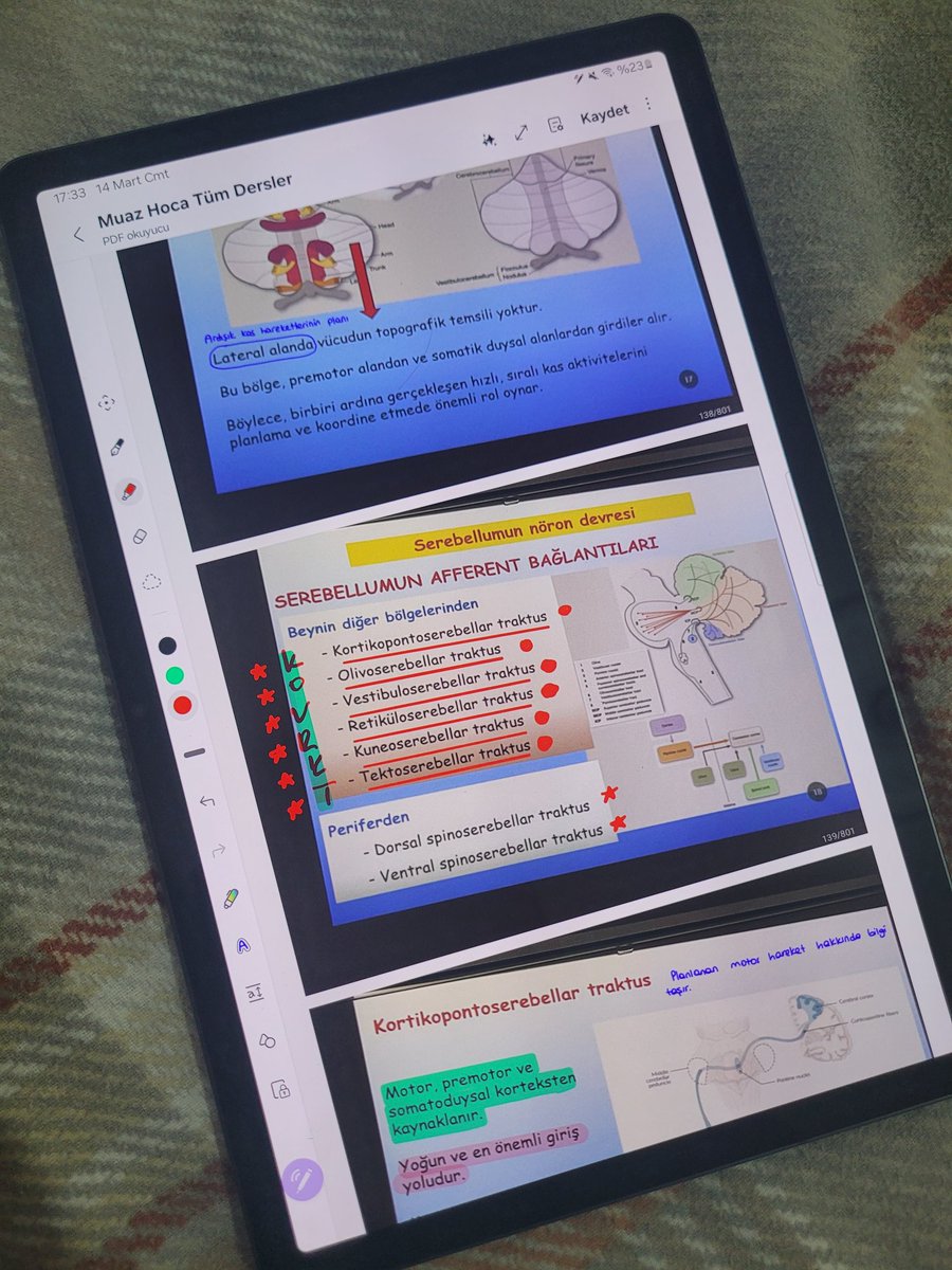 b*k vardı da başka bir sağlık bölümü yazmadım da bu güzide  bayramda sürünmek zorunda kaldım yerime sekreterler kutlama yapıyor